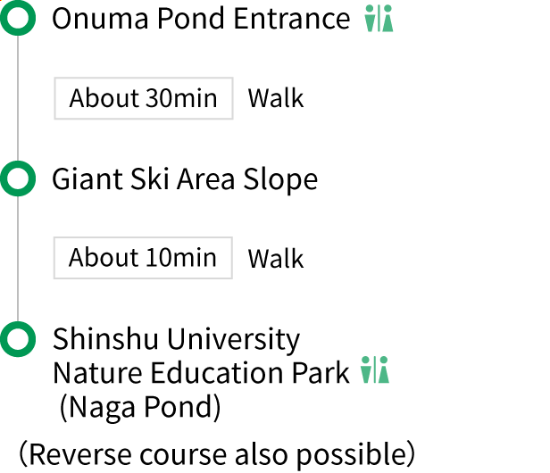 Shimizu New Trail：Route