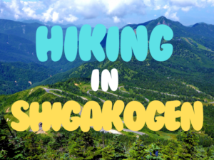 Hiking trail latest information