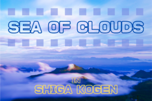 Sea of clouds in Shiga Kogen