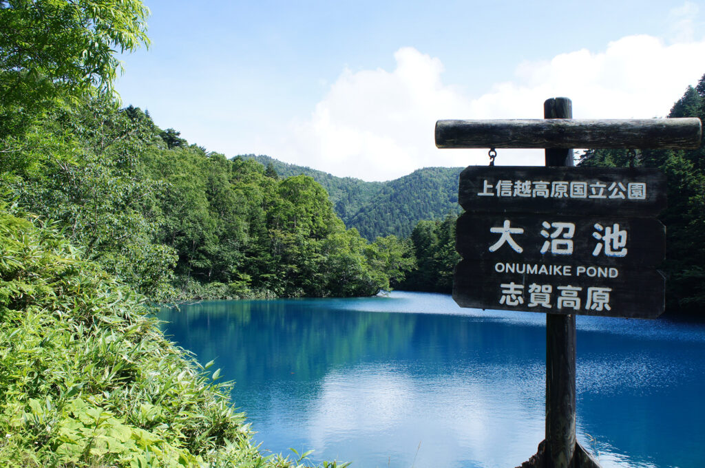 夏でも冷涼快適！原生林を歩いて志賀高原のシンボル大沼池へ!