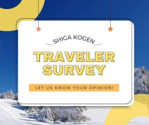 Winter Traveler’s Survey