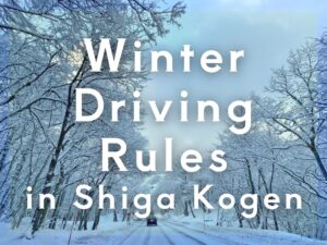 Winter Driving Rules in Shiga Kogen